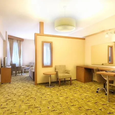 Business Hotel
